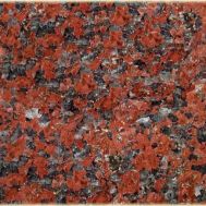 african red